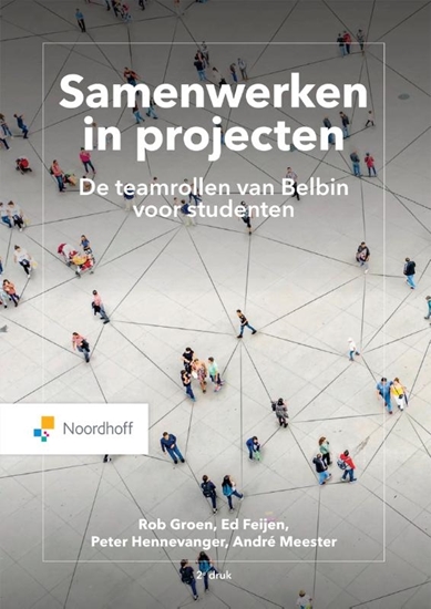 Afbeelding van Samenwerken in projecten.