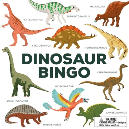 Afbeeldingen van Dinosaur Bingo
