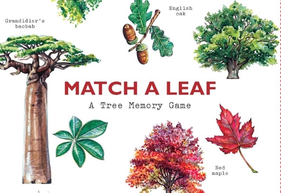 Afbeelding van Match a Leaf A Tree Memory Game:A Tree Memory Game