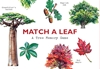 Afbeelding van Match a Leaf A Tree Memory Game:A Tree Memory Game