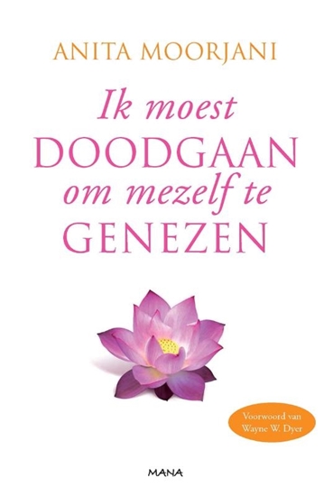 Afbeelding van Ik moest doodgaan om mezelf te genezen