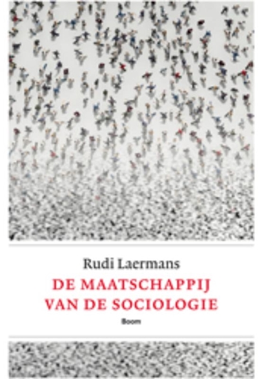 Afbeelding van De maatschappij van de sociologie