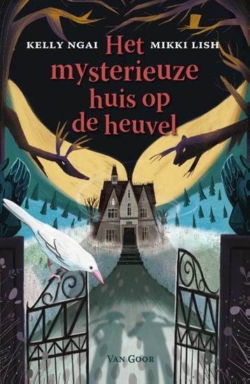 Afbeelding van Het mysterieuze huis Het mysterieuze huis op de heuvel