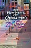Afbeelding van Het Ministerie van Oplossingen Het ministerie van Oplossingen en de Zilverjongen