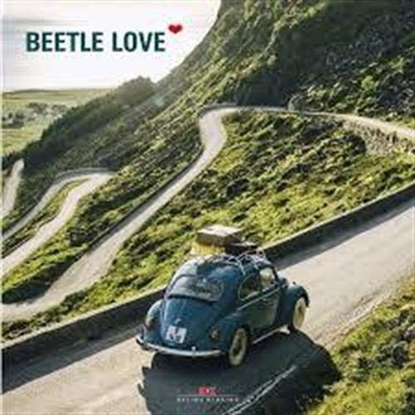 Afbeeldingen van Beetle Love