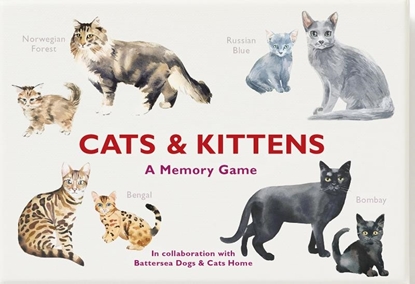 Afbeeldingen van Cats & Kittens