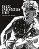 Afbeelding van Bruce Springsteen: Live in the Heartland