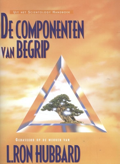 Afbeelding van De Componenten van Begrip