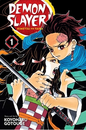 Afbeeldingen van Demon Slayer: Kimetsu no Yaiba Demon Slayer: Kimetsu no Yaiba, Vol. 1