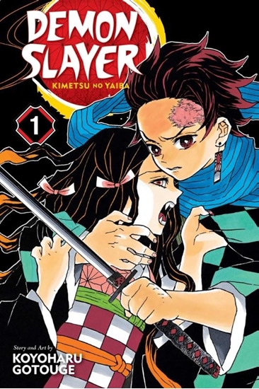 Afbeelding van Demon Slayer: Kimetsu no Yaiba Demon Slayer: Kimetsu no Yaiba, Vol. 1