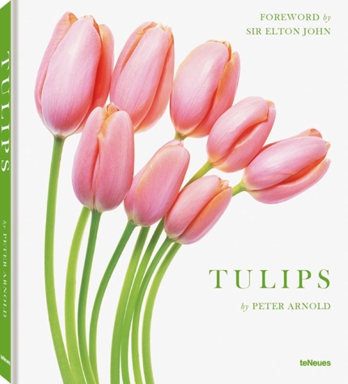 Afbeelding van Tulips