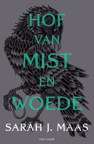 Afbeelding van Hof van doorns en rozen Hof van mist en woede