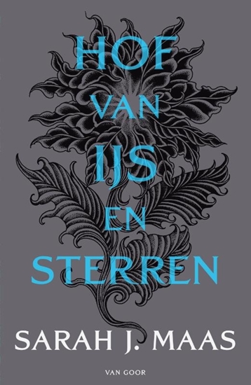 Afbeelding van Hof van doorns en rozen Hof van ijs en sterren