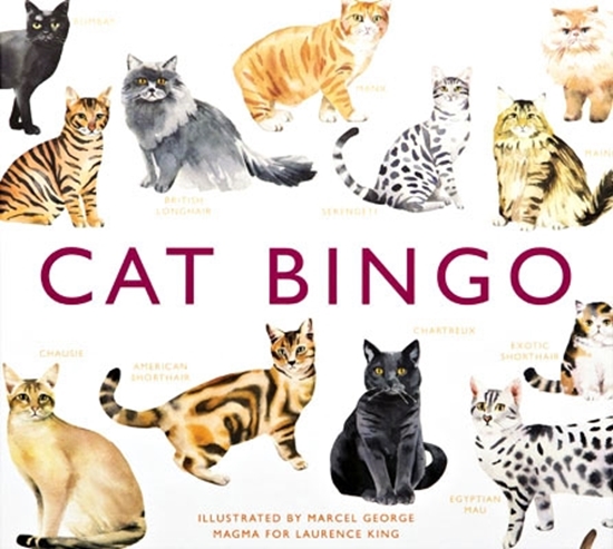 Afbeelding van Cat Bingo