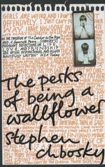 Afbeelding van The Perks of Being a Wallflower