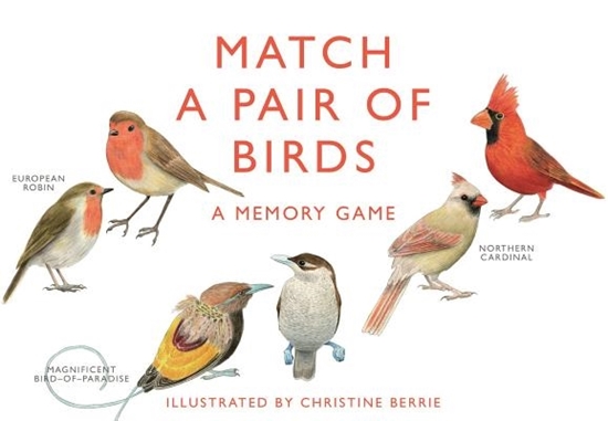 Afbeelding van Match a Pair of Birds