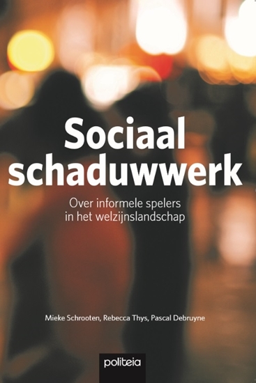 Afbeelding van Sociaal schaduwwerk