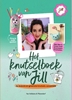 Afbeelding van Jill Het knutselboek van Jill