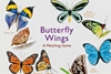 Afbeelding van Butterfly Wings