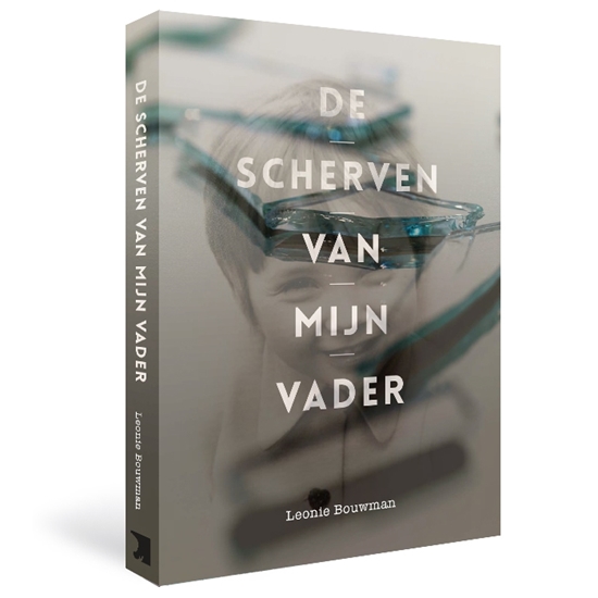 Afbeelding van De scherven van mijn vader