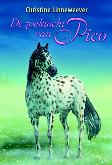 Afbeelding van Gouden paarden De zoektocht van Pico