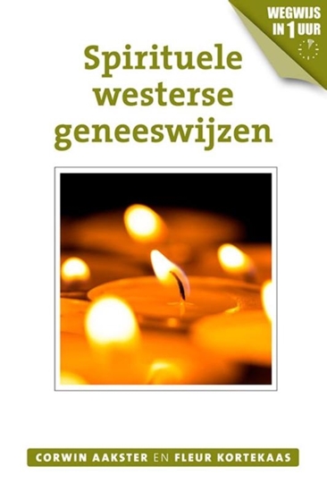 Afbeelding van Geneeswijzen in Nederland Spirituele westerse geneeswijzen