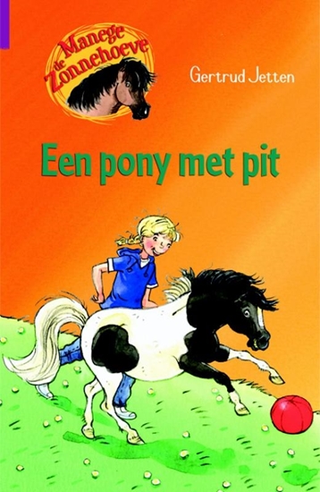 Afbeelding van Manege de Zonnehoeve Een pony met pit