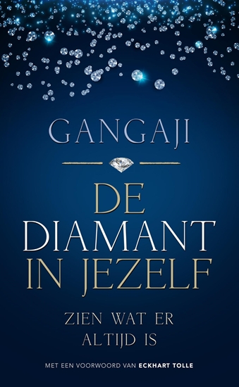 Afbeelding van De diamant in jezelf