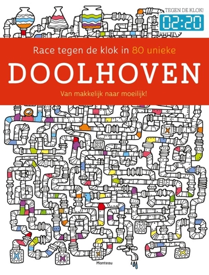 Afbeelding van Doolhoven Race tegen de klok in 80 unieke doolhoven van makkelijk naar moeilijk