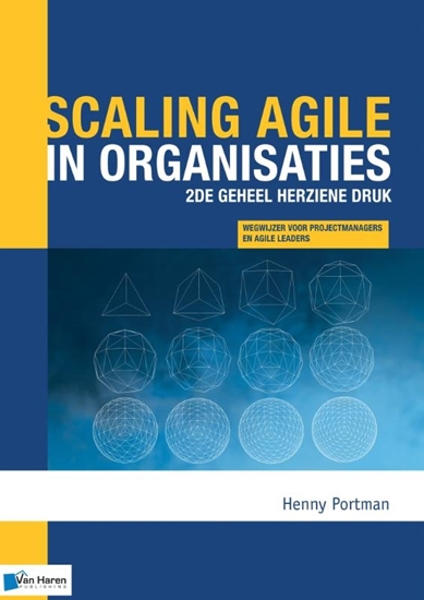 Afbeelding van Project management Scaling agile in organisaties-2de geheel herziene druk