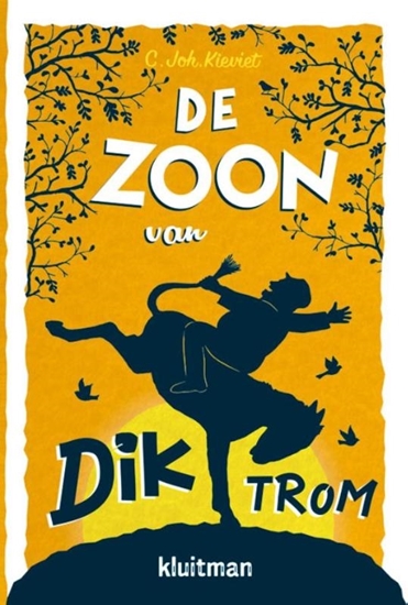 Afbeelding van Dik Trom De zoon van Dik Trom