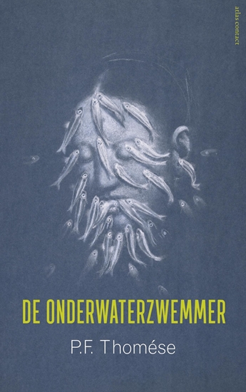 Afbeelding van De onderwaterzwemmer