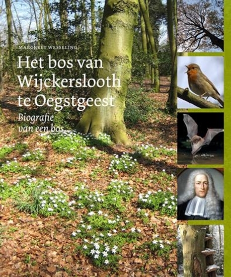 Afbeelding van Het bos van Wijckerslooth te Oegstgeest