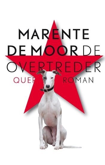 Afbeelding van De overtreder