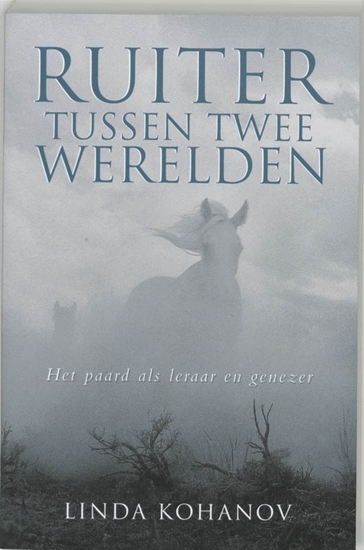 Afbeelding van Ruiter tussen twee werelden