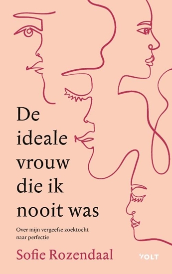 Afbeelding van De ideale vrouw die ik nooit was