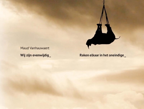 Afbeelding van Wij zijn evenwijdig