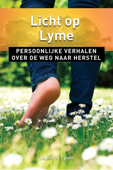 Afbeelding van Ankertjes Licht op Lyme