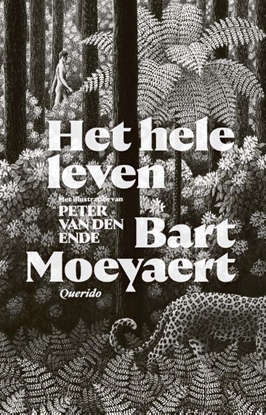 Afbeeldingen van Het hele leven