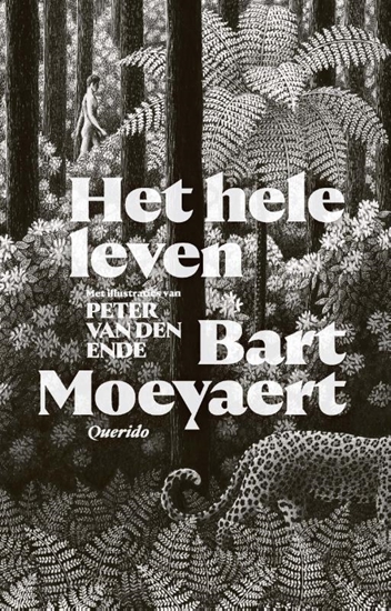 Afbeelding van Het hele leven