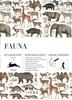 Afbeelding van Gift & creative papers Fauna Volume 90