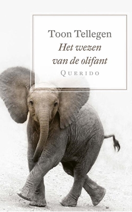 Afbeeldingen van Het wezen van de olifant