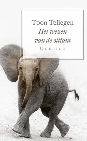 Afbeelding van Het wezen van de olifant