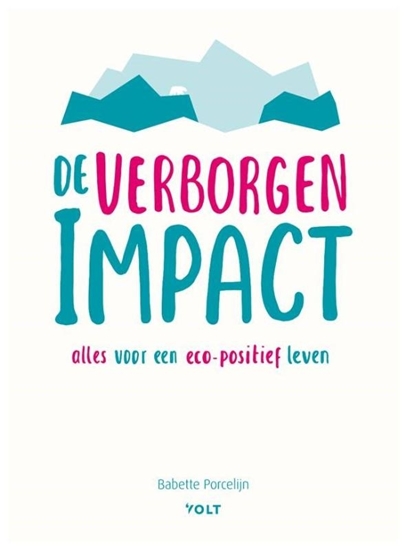 Afbeelding van De verborgen impact