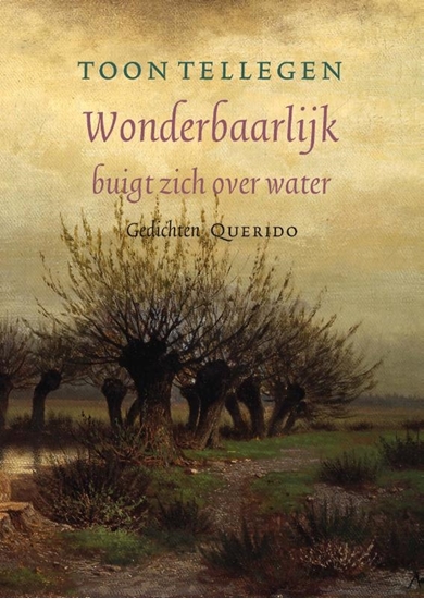 Afbeelding van Wonderbaarlijk buigt zich over water