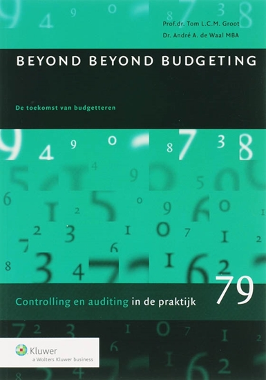 Afbeelding van Auditing in de praktijk Beyond Beyond Budgeting