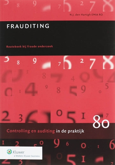 Afbeelding van Auditing in de praktijk Frauditing