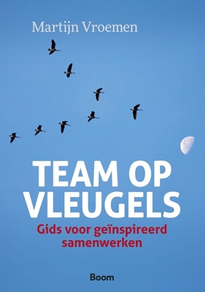 Afbeeldingen van Team op vleugels