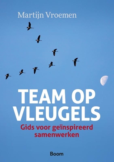 Afbeelding van Team op vleugels