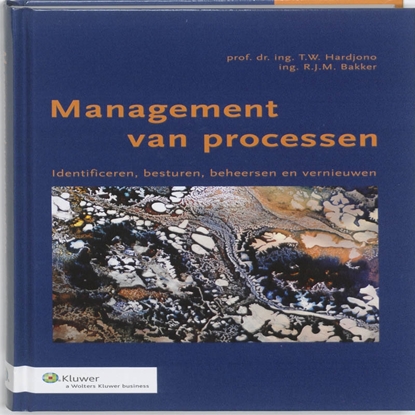 Afbeeldingen van Management van processen
